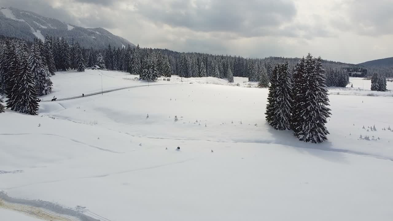 Un paesaggio invernale incantato a Poiana Brașov, Romania. Un lento movimento della telecamera che domina una foresta montana con cavalli sul sentiero.