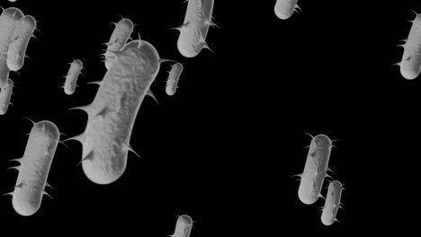 bacteria microscópica de 4k antecedentes médicos - bucle, bacteria bucleable - bacteria e. coli flotante - bacteria - animación en 3d de bacrerium. espirilla - bacteria de primer plano - color blanco