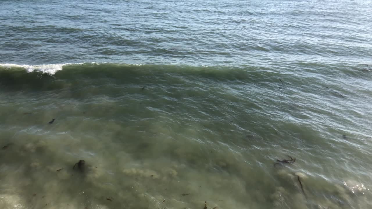 슬로우 모션 클립