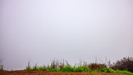 Time-lapse-shot-from-lookout-point-of-mist-enshrouding-Golden-Gate-bridge