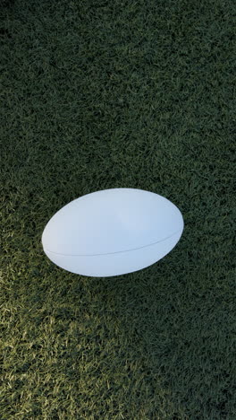 vertical video: rugby ball resting on green grass, ready for outdoor sports action