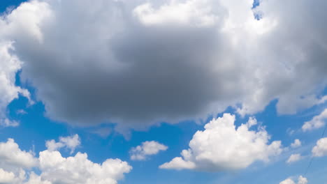 beautiful soft clouds transforming in the atmosphere. cumulus clouds are lit with bright summer sun. low angle view. timelapse.