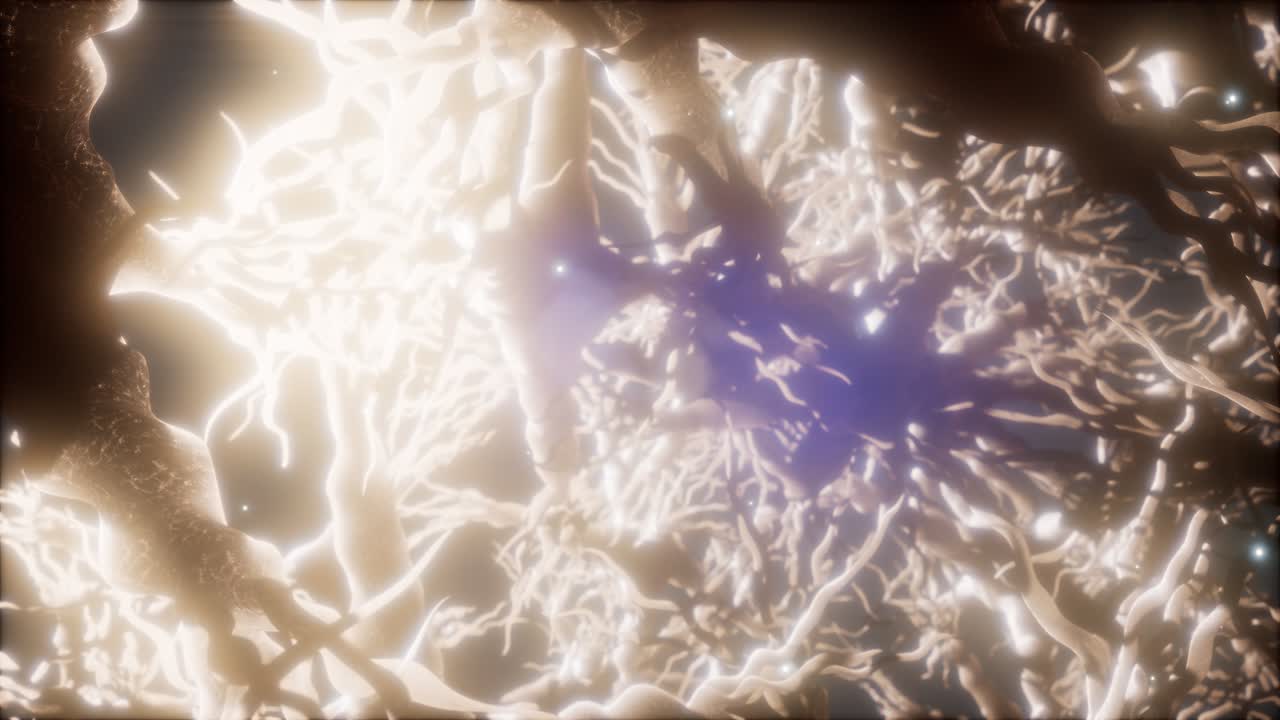 Journey through a neuron cell network inside the brain