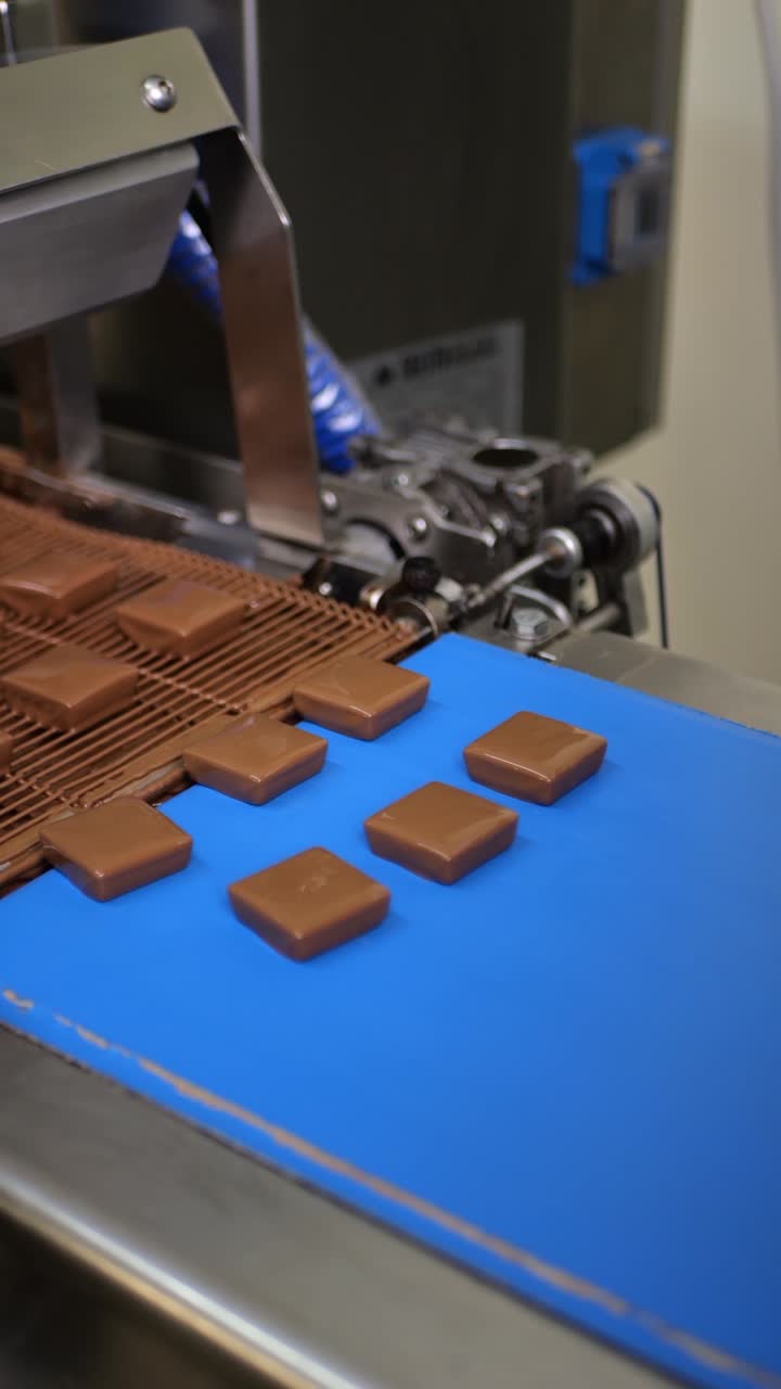 Sweets covered with chocolate and getting dry on production line in a Candy factory.