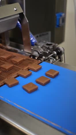 sweets covered with chocolate and getting dry on production line in a candy factory.