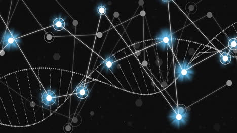 Animation-of-dna-strand-and-network-of-connections