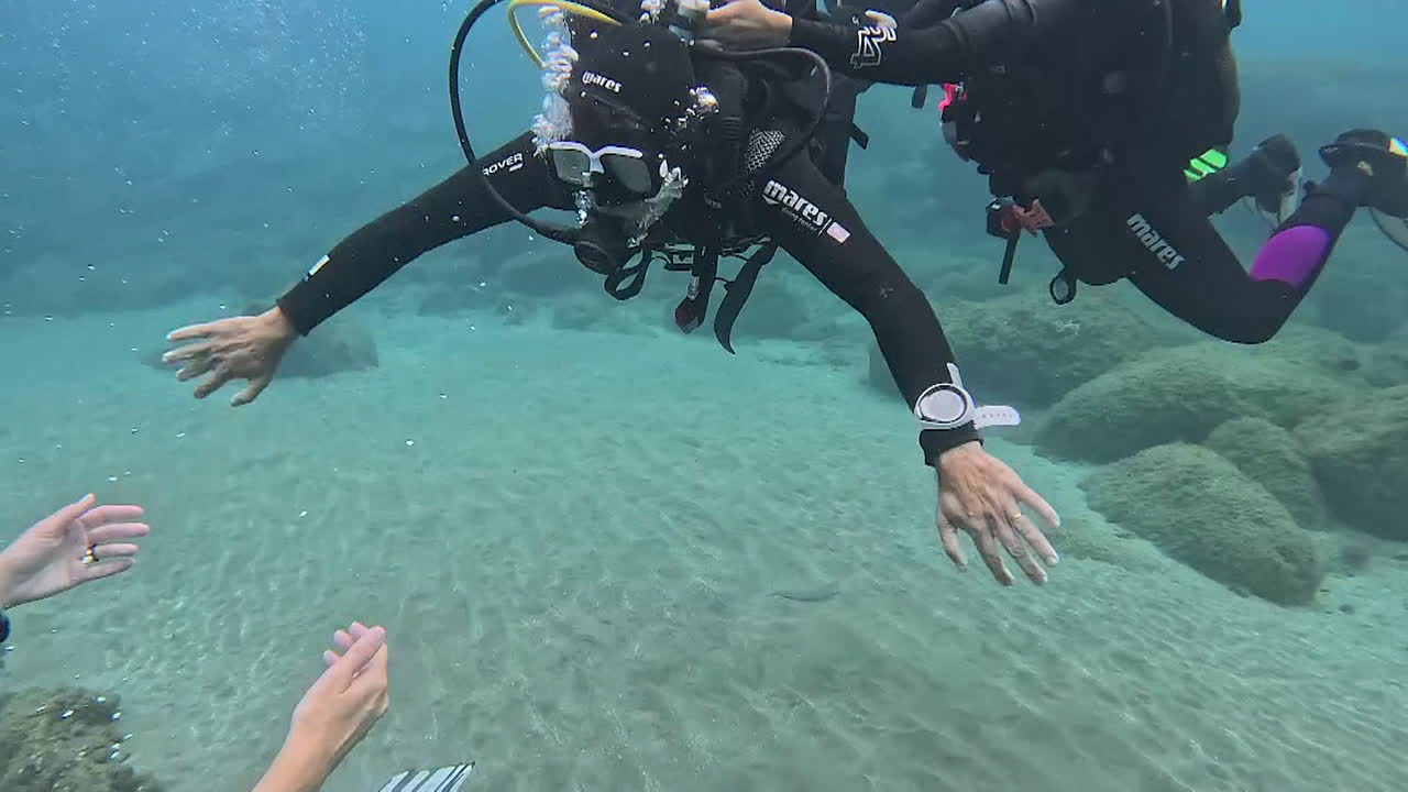 Scuba Diving Group Underwater