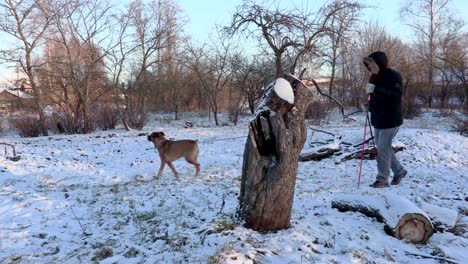 hiker with dog in garden in winter