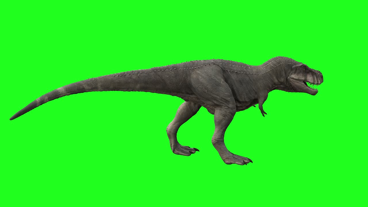 공 트렉스 루프가 녹색 채널을 고 있다