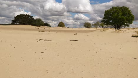 erosion due to overgrazing with desertification as result