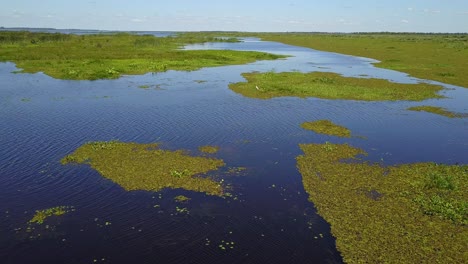 wetlands of northeast argentina shooted with drone