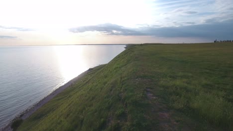 steep hill by ales stenar with herd of cows by the baltic sea, in south sweden skåne österlen, aerial low