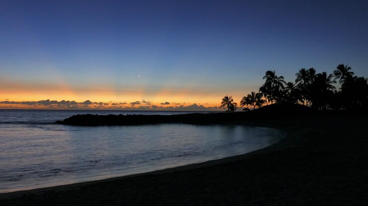Sunset Beach Silhouette