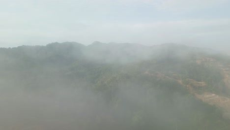 foggy sunset early morning during raining season asian tropical rain forest, with mountain and green valley,palm oil farm,sarawak,borneo.