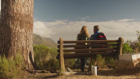 pareja de ancianos activos sentados en un banco en el bosque