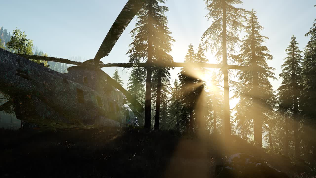 ⁇ 은 얼룩진 군사 헬리 ⁇ 터