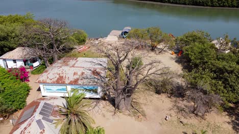 Aerial-tilt-down-view-of-river-Gambia-with-a-mangrove-forest-and-baobab-tree-shot-at-Stala-Adventures,-Kartong---The-Gambia