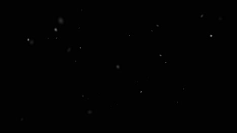 snowflakes falling on black background