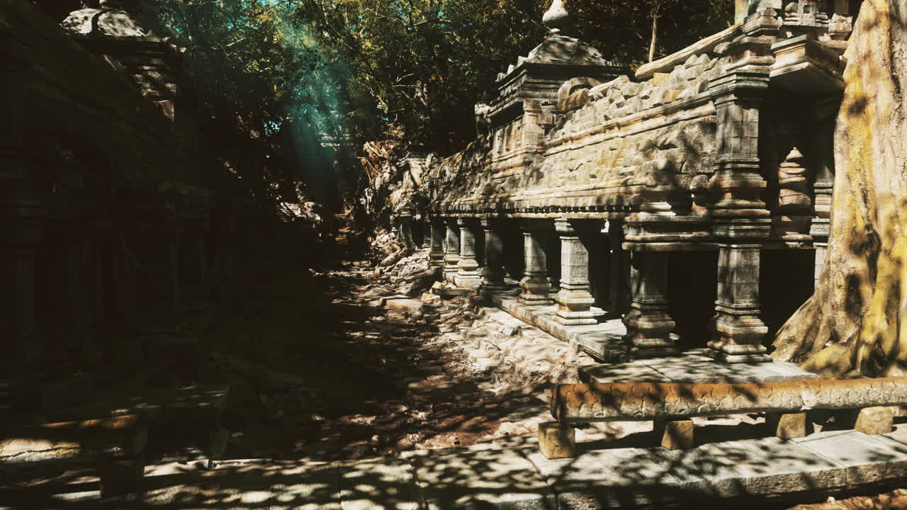 Timeworn stone structure concealed beneath vibrant foliage and winding roots