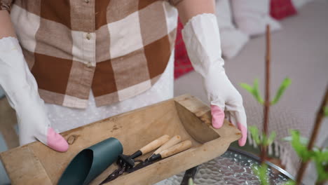 nature enthusiast wearing white gloves with pink fingertips carries wooden garden tool box to glass table beside indoor plants then dips hands into box to retrieve shovel and rake for plant care