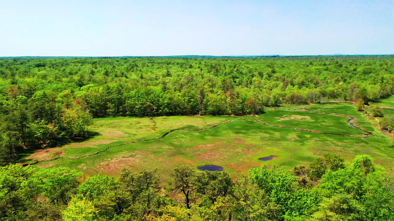 Flying drone clip: Maine swamp forest wilderness. Road, cars, houses, and powerlines weave through dense trees. People drive through the marsh for a peaceful summer wetland vacation getaway.