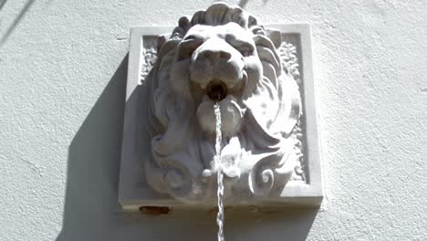 lion head with flowing water