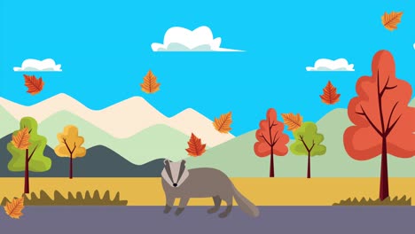 hello autumn animation with marsupial in landscape