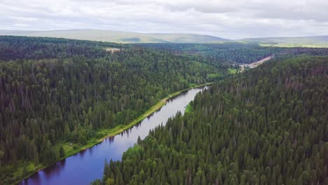 aerial view of a river flowing through a dense forest