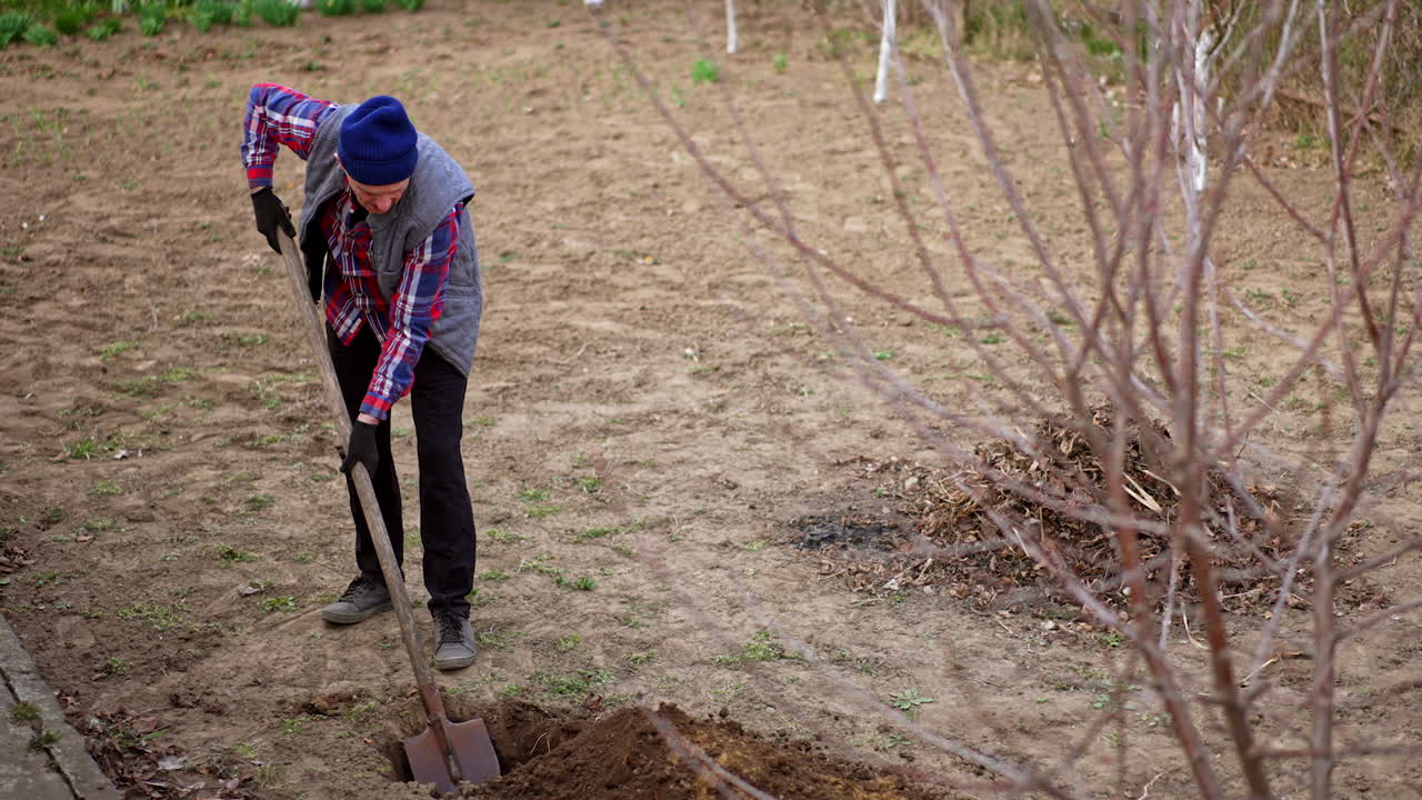 Mature Caucasian man digs ground in his garden. Farmer digs a hole to plant a new tree.