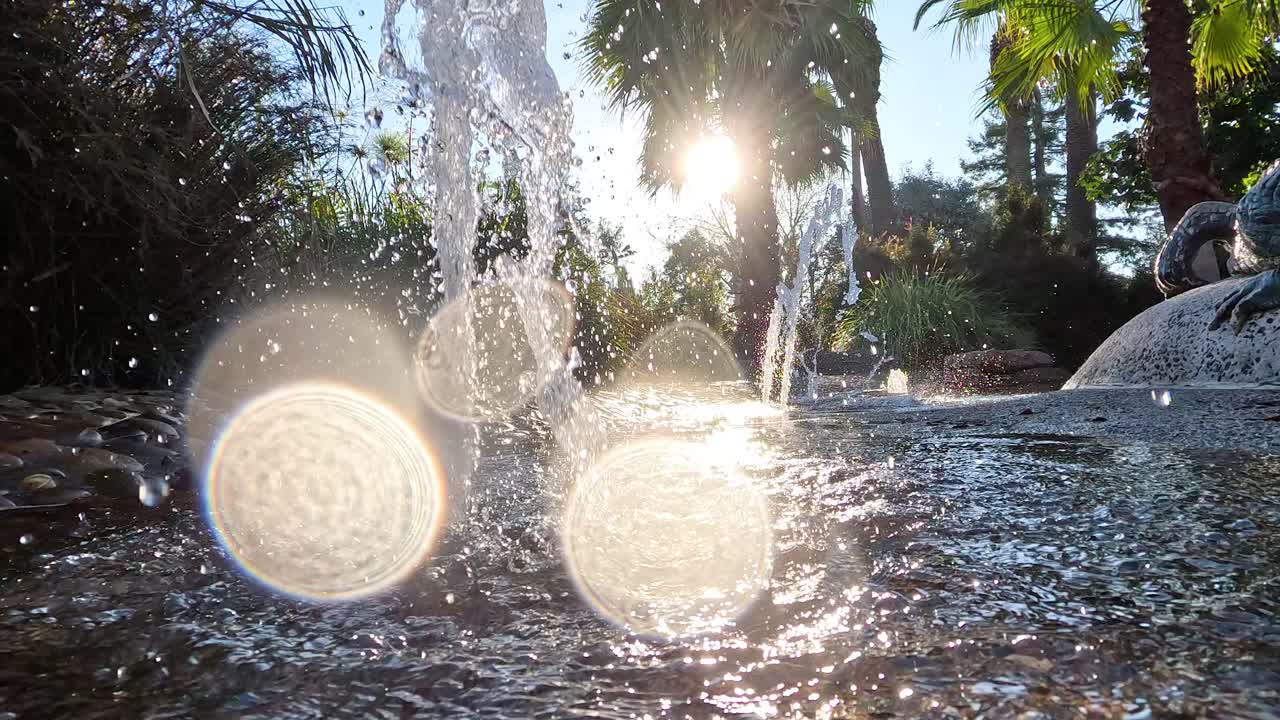 Water splashing in sunlight at Melbourne Zoo