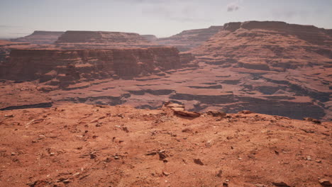 el gran cañón en arizona en un día soleado