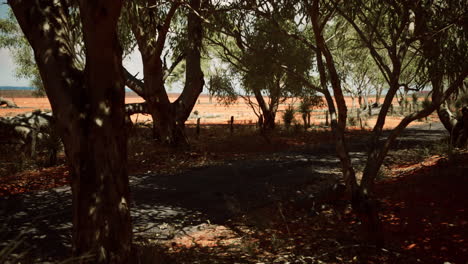 Outback-Straße-Mit-Trockenem-Gras-Und-Bäumen