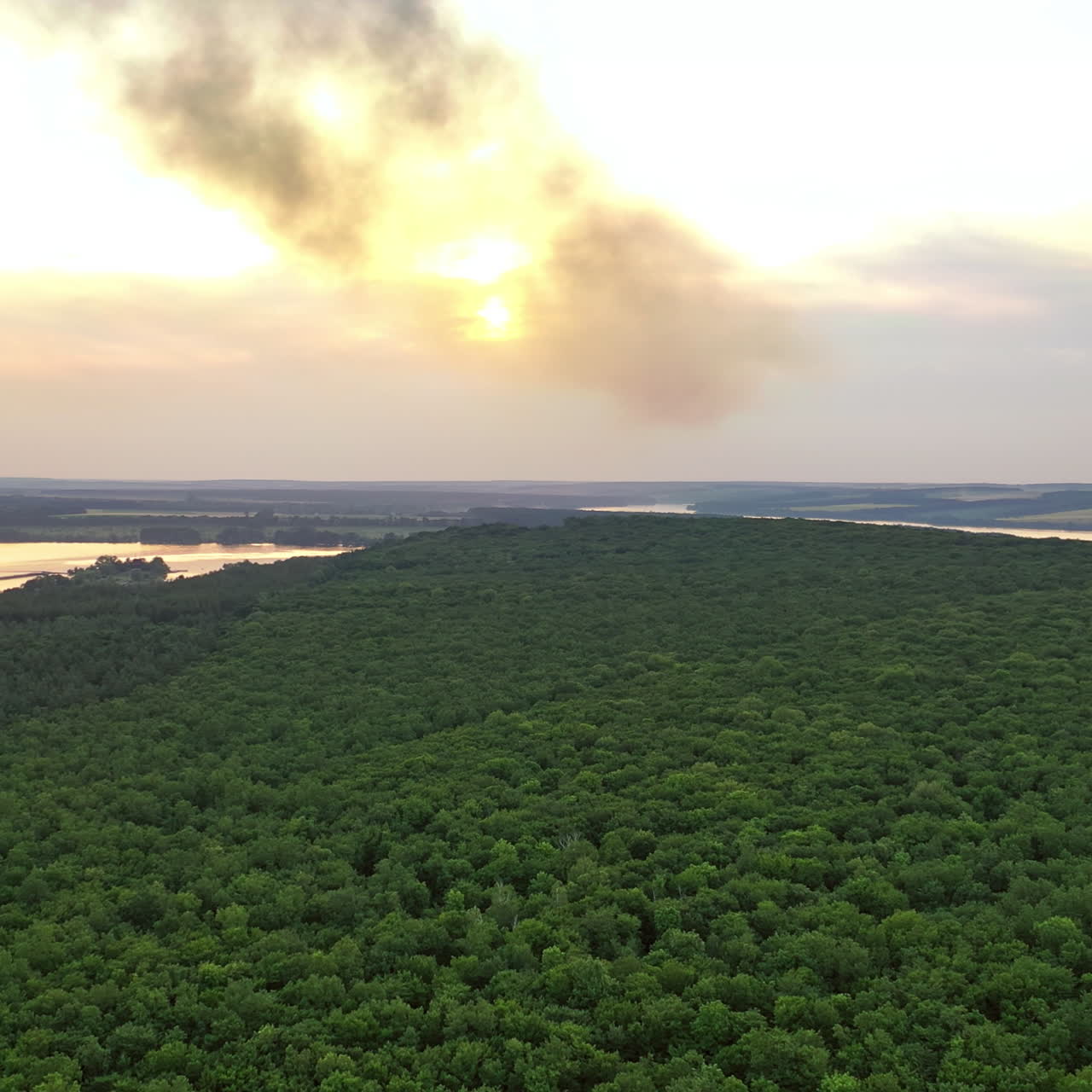 Panoramic view on green forest at sunset. Natural background of summer scenery of green trees and rivers. Aerial view. Slow motion.