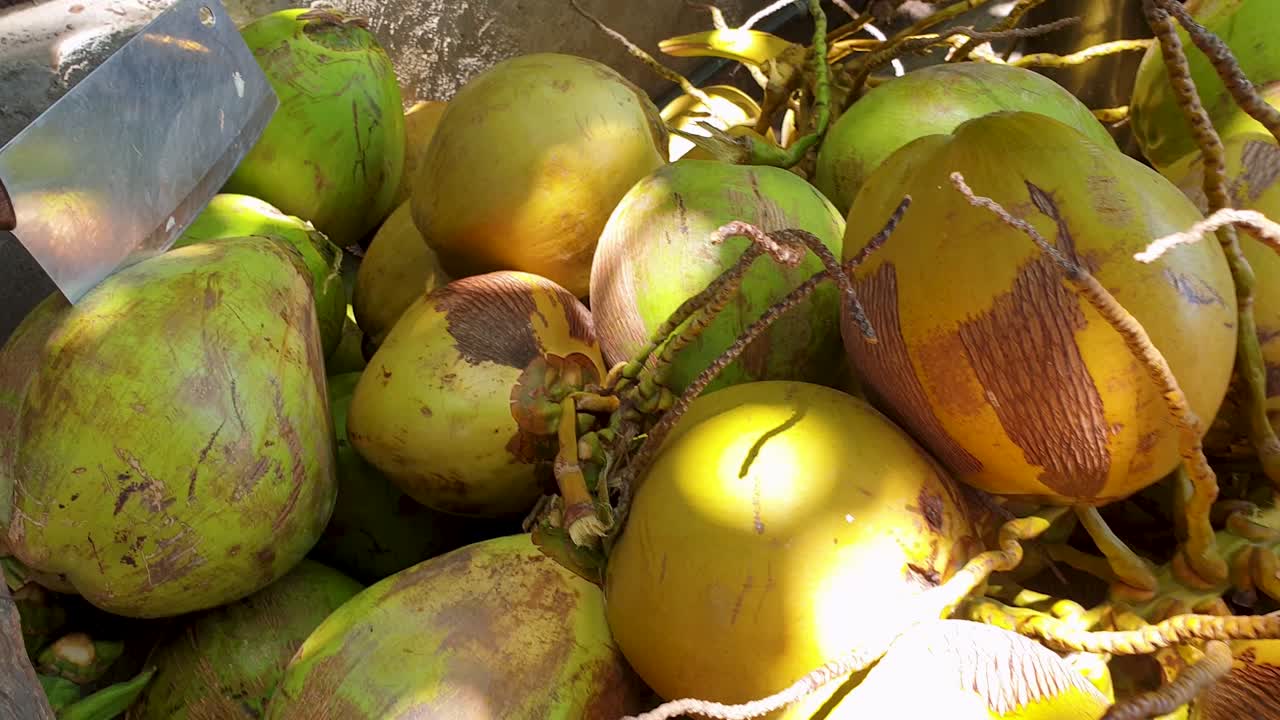 un gran machete y un montón de cocos para beber recién recogidos en la isla tropical de timor leste, sudeste de asia