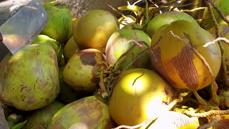 Un-Gran-Machete-Y-Un-Montón-De-Cocos-Para-Beber-Recién-Recogidos-En-La-Isla-Tropical-De-Timor-Leste,-Sudeste-De-Asia