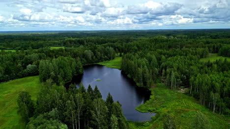 Rotating-drone-view-of-pond-in-a-jungle-on-a-cloudy-day