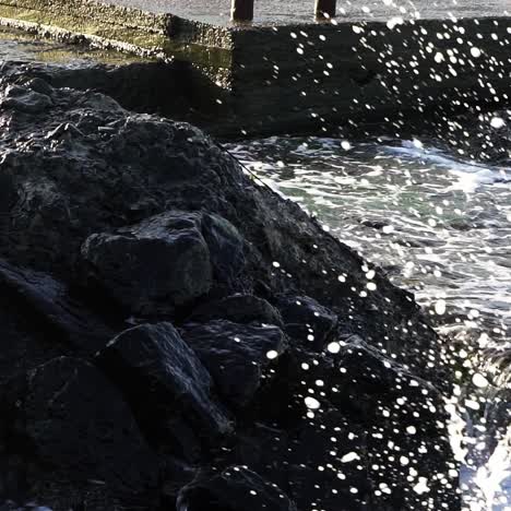 rock seaside shore