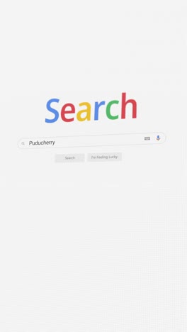 vertical video of searching for puducherry on internet browser