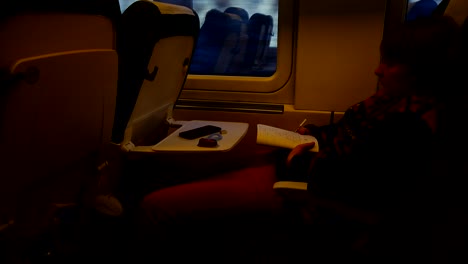 the girl in the railway carriage of the high-speed train.