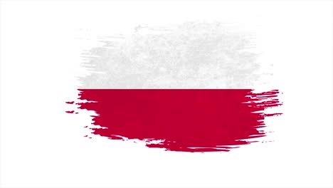 bandera de polonia - diferentes tipos de dibujos de la bandera polaca