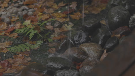 Close-up-shot-of-rain-water-falling-off-a-roof-onto-peddles-in-a-garden