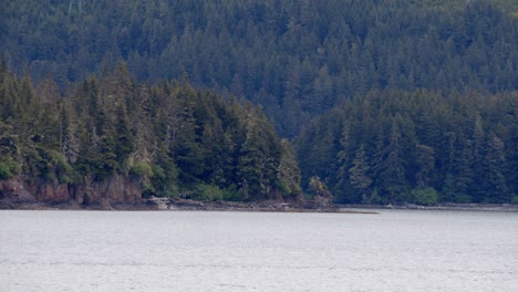 stevens passage transit, près de juneau en alaska