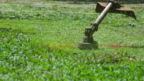 ciężko pracujący robotnik przycinający trawę za pomocą kosy spalinowej w ogrodzie domowym