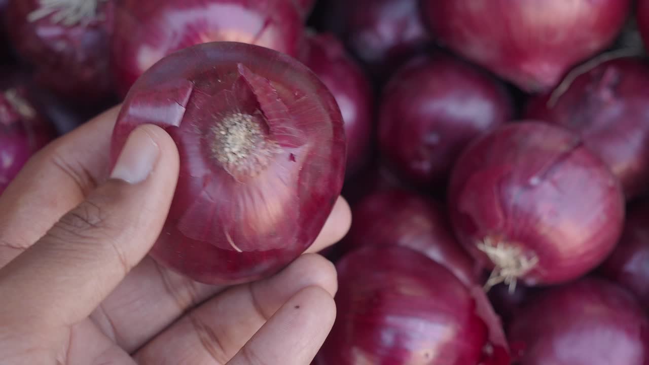 cebollas rojas en la mano