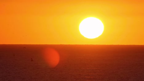 paisaje de belleza con puesta de sol sobre el mar y algunas gaviotas cruzando la línea, cámara lenta de 4k