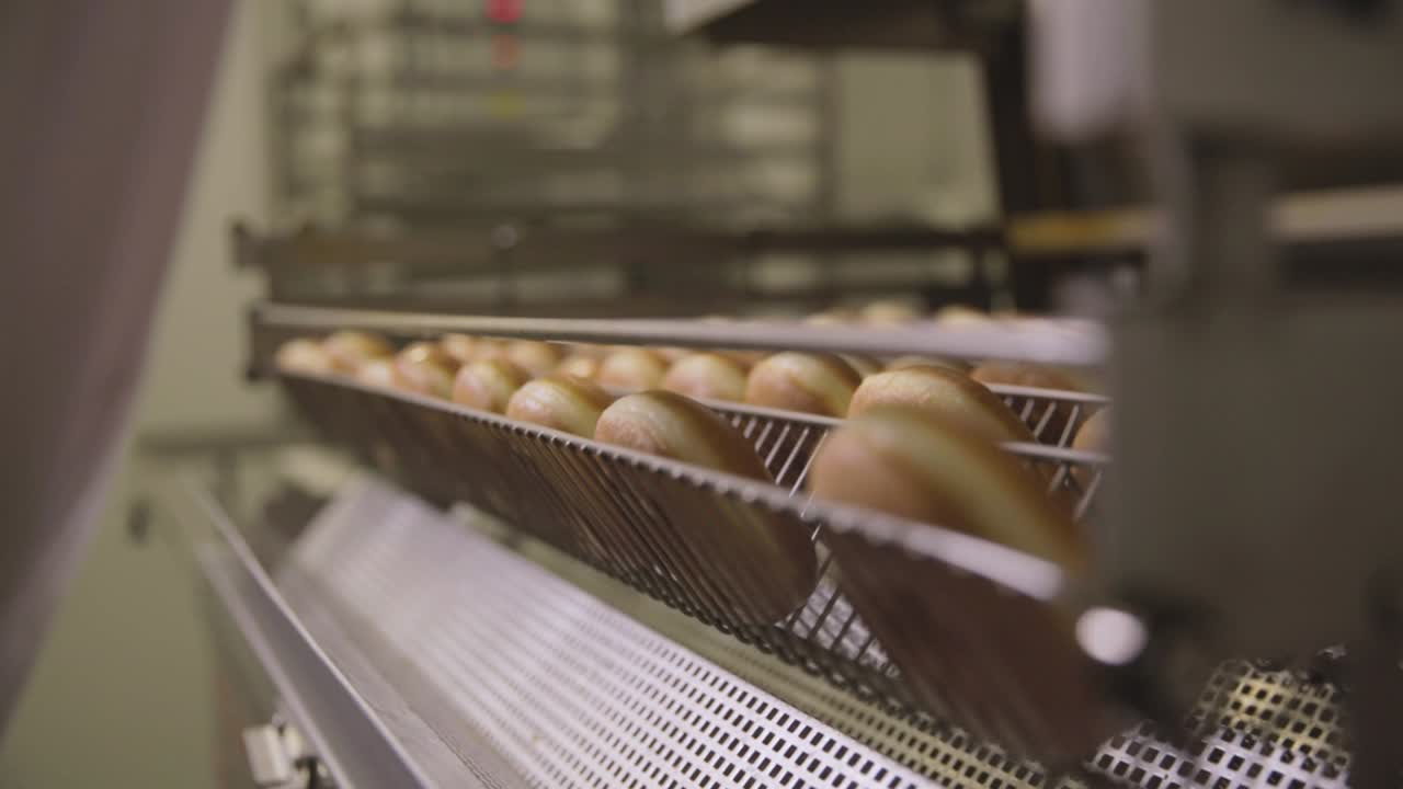 Donut Production Line