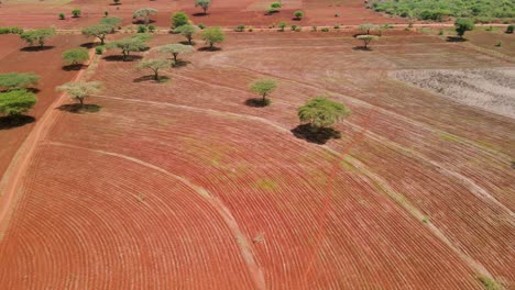 suelo arado preparado para el cultivo de aguacate hass en loitokitok kenia, conferencia climática aérea- cambio climático cop26