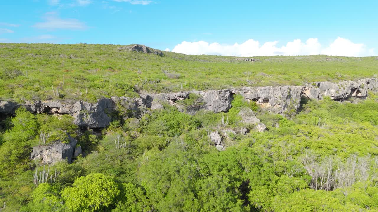 Ripresa aerea con drone su un lussureggiante paesaggio verde aperto dei Caraibi con scogliere.