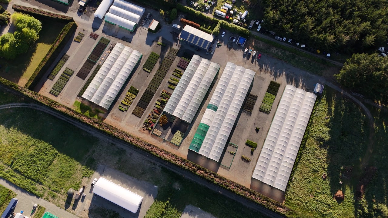 Commercial plant nursery with multiple greenhouses and rows of plants growing outdoors in Sheffield, New Zealand. Aerial top-down view