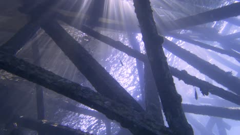 camera angle from below a jetty in a tropical ocean